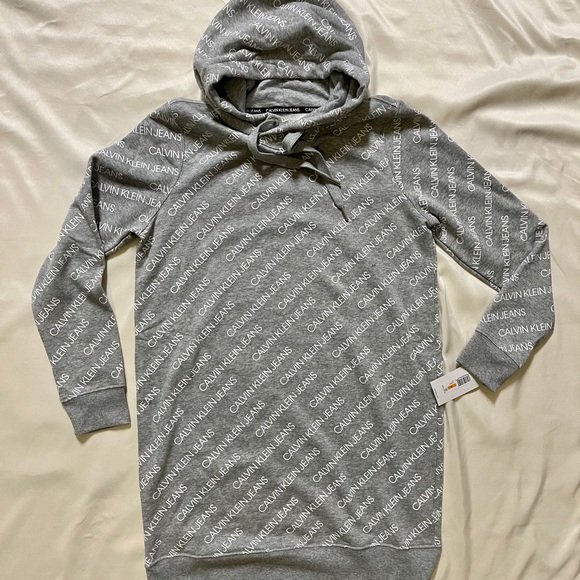 Brushedlogo Hoodie Dress | Poshmark